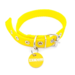 Chapita MiniRoda de color dorado+ Collar amarillo - comprar online