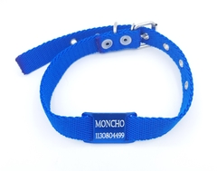 Chapita Pasador anodizado + collar 2cm azul