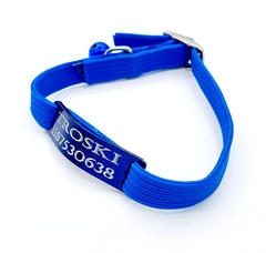 Chapita pasador de gatos azul+ Collar elastizado azul en internet