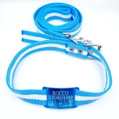 Chapita de aluminio anodizado ARGENTINA CAMPEON+Collar+Correa de Argentina Edicion Limitada - comprar online