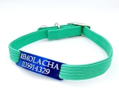 Chapita Gato Azul Pasador + Collar 1 Cm Elastizado Verde en internet