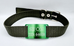 Chapita Pasador anodizado para collares de 3cm de ancho color verde + collar negro