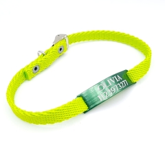 Chapita Gato Verde + Collar De 1 Cm Reforzado Verde Manzana - comprar online