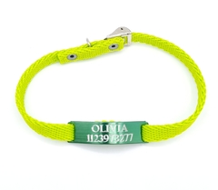 Chapita Gato Verde + Collar De 1 Cm Reforzado Verde Manzana - Medallas para Perros