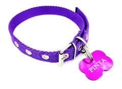 Magnus canin hueso mediano anodizado color violeta + collar de 2cm de ancho violeta - comprar online