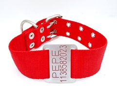 Chapita Perro Grande Para Collares De 4cm Ancho+collar Rojo
