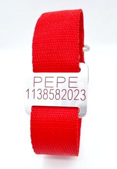 Chapita Perro Grande Para Collares De 4cm Ancho+collar Rojo - comprar online