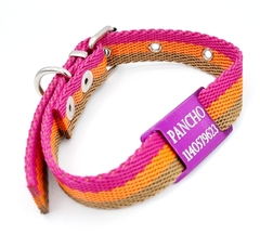 Chapitas Perros Pasador Violeta+collar Candy 2cm Ancho - comprar online