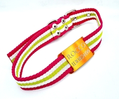 Chapitas Perros Pasador Naranja+ Collar De 3cm BENETTON - comprar online