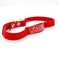 Chapita Gato Aluminio Rojo + collar Reforzado Elastizado Rojo - comprar online