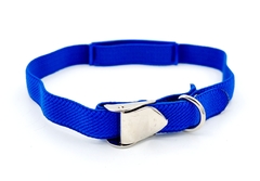 Chapita Gato Aluminio AZUL + collar Reforzado Elastizado AZUL - Medallas para Perros
