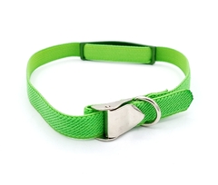 Chapita Gato Aluminio VERDE + collar Reforzado Elastizado VERDE - Medallas para Perros