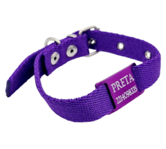 Chapita Perro Chico violeta+ Collar VIOLETA 2cm De Ancho