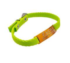 Chapita Gato Pasador NARANJA + Collar 1 Cm Reforzado VERDE MANZANA - comprar online