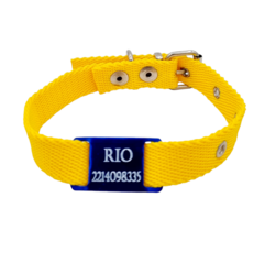 Chapita Pasador anodizado azul + collar AMARILLO DE 2cm - comprar online