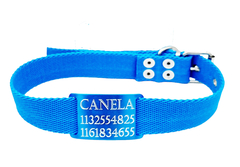 Combo Chapita Pasador color + collar de 3cm de ancho y 60cm de Largo - Medallas para Perros