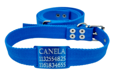 Chapita Perros Pasante TURQUESA + Collar Y Correa TURQUESA - comprar online