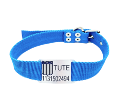 Combo Chapita + ESCUDO RACING+ Collar TURQUESA - comprar online