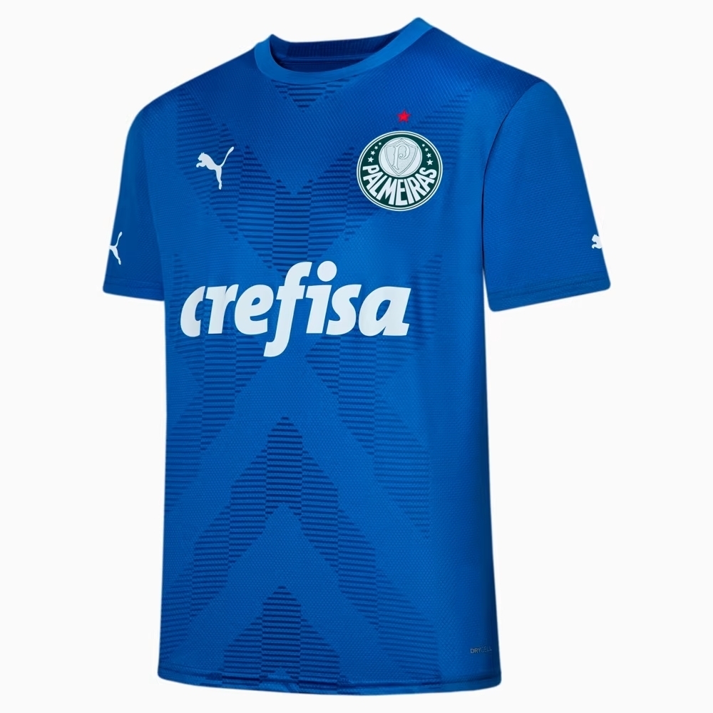 Camisa de goleiro Palmeiras 2023/24 - Torcedor Masculina Puma - Azul