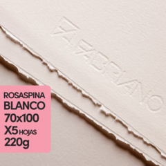 Fabriano Rosaspina 220gr Blanco 70x100 x 5 Hojas