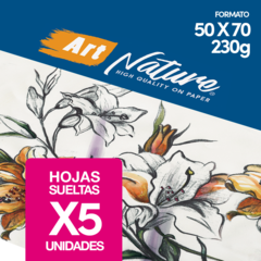 Papel Para Acuarela Art Nature 230gr 50x70 5 Hojas