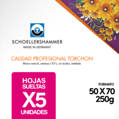 Papel Para Acuarela Torchon 50x70 250gr 5 Hojas
