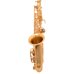 Sax Alto Yanagisawa Elite Profissional AWO10 Laqueado - comprar online