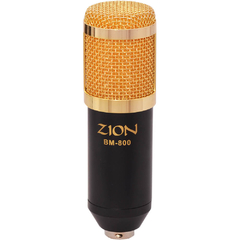 Microfone Zion BM800Z Para Voz, Gravação, Uso Em Pc Ou Notebook