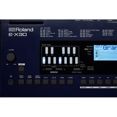 Teclado Arranjador Roland E-X30 61 Teclas