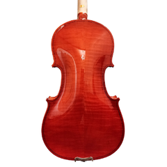 Violino 4/4 Michael VNM146 Boxwood Séries - Ajustado - Plander