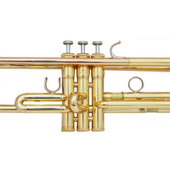 Trompete Sib Yamaha YTR-3335 Laqueado na internet