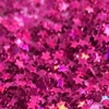 Glitter Estrela Fuchsia Holográfica