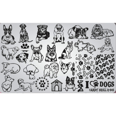 Placa R41 (Candy Skull) Dogs,Pets, Cachorros