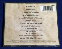 Bruce Springsteen - 18 Tracks - Cd - 1999 - comprar online