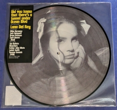 Lana Del Rey - Did You Know That There's A Tunnel Under Ocean Blvd - 2 Lp's Picture Disc 2023