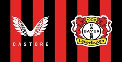 Banner da categoria Bayer Leverkusen