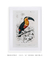 Quadro Decorativo Charles Dessalines Toucan (Ramphastos) (1806-1876) - loja online