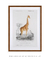 Quadro Decorativo Giraffa camelopardalis - loja online