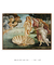 Quadro Decorativo O Nascimento de Vênus Sandro Botticelli na internet