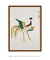 Quadro Decorativo Taguchi Tomoki Pássaro 3 - comprar online