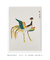 Quadro Decorativo Taguchi Tomoki Pássaro 3 - loja online