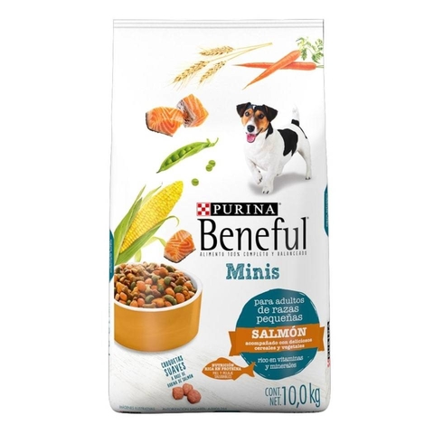 Beneful 2025 minis salmon