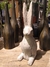 Figura conejo