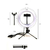 Ring light 8 polegadas (20cm) com tripé de mesa e suporte para celular - ENTREGA RAPIDA na internet