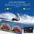 ACTION CAMERA 4K - Câmera de ação 4k Wi-Fi e ESTABILIZAÇÃO de Imagem - Adizio Store - Loja de Eletrônicos e Tecnologia 