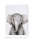 Quadro Elefante Safari na internet