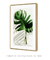 Quadro Monstera - loja online