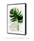 Quadro Monstera