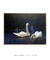 Quadro Swans in Reeds (1907) Bruno Liljefors - loja online