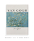 Quadro Van Gogh Almond Blossom na internet